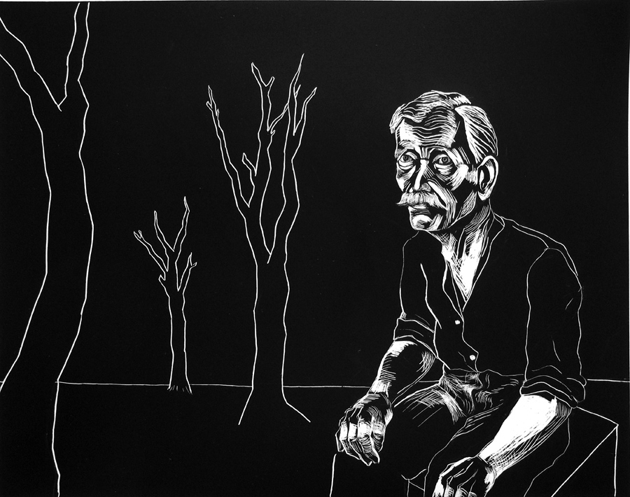 forest for the trees by Dana Ellyn, 2011