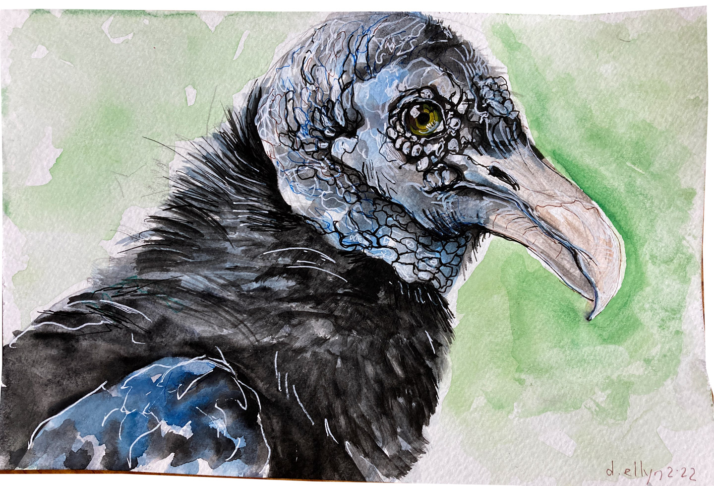 vulture by Dana Ellyn, 2022